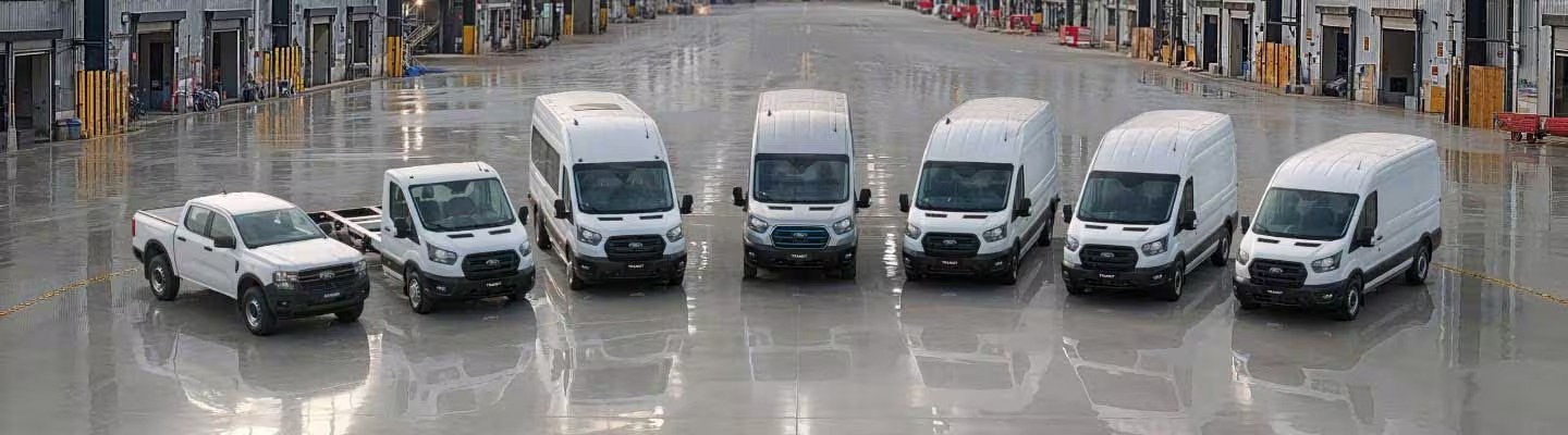 imgi 31 1742314120476