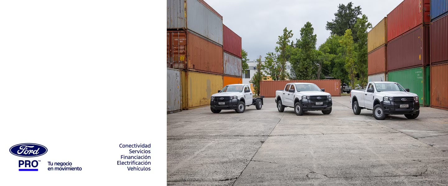 imgi 5 image.imgs .full .high